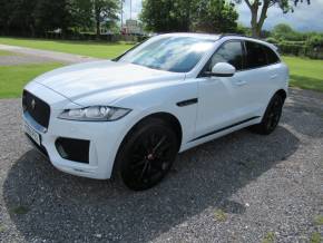 JAGUAR F-PACE 2019 (69) at Armstrong Massey Driffield